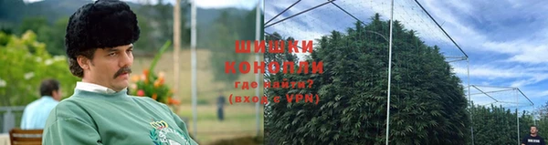 не бодяженный Михайлов