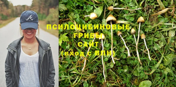 не бодяженный Михайлов
