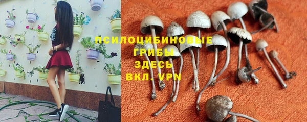 не бодяженный Михайлов
