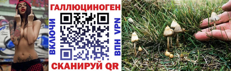 Псилоцибиновые грибы Cubensis  Липецк 